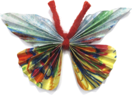 Jens Digel Vielfalter