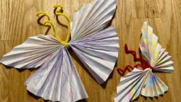 Jens Digel Vielfalter