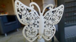 Jens Digel Vielfalter