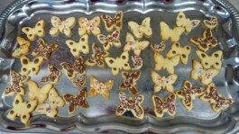 Jens Digel Vielfalter