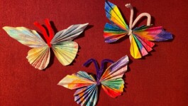 Jens Digel Vielfalter